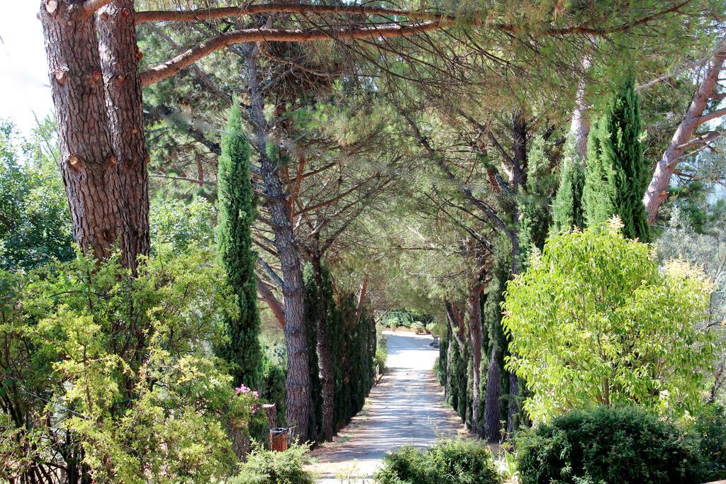Agriturismo Antico Borgo Poggitazzi Лоро Чиуфена Екстериор снимка