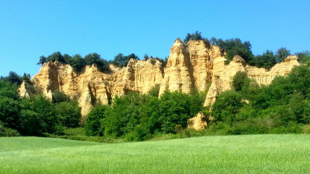 Agriturismo Antico Borgo Poggitazzi Лоро Чиуфена Екстериор снимка